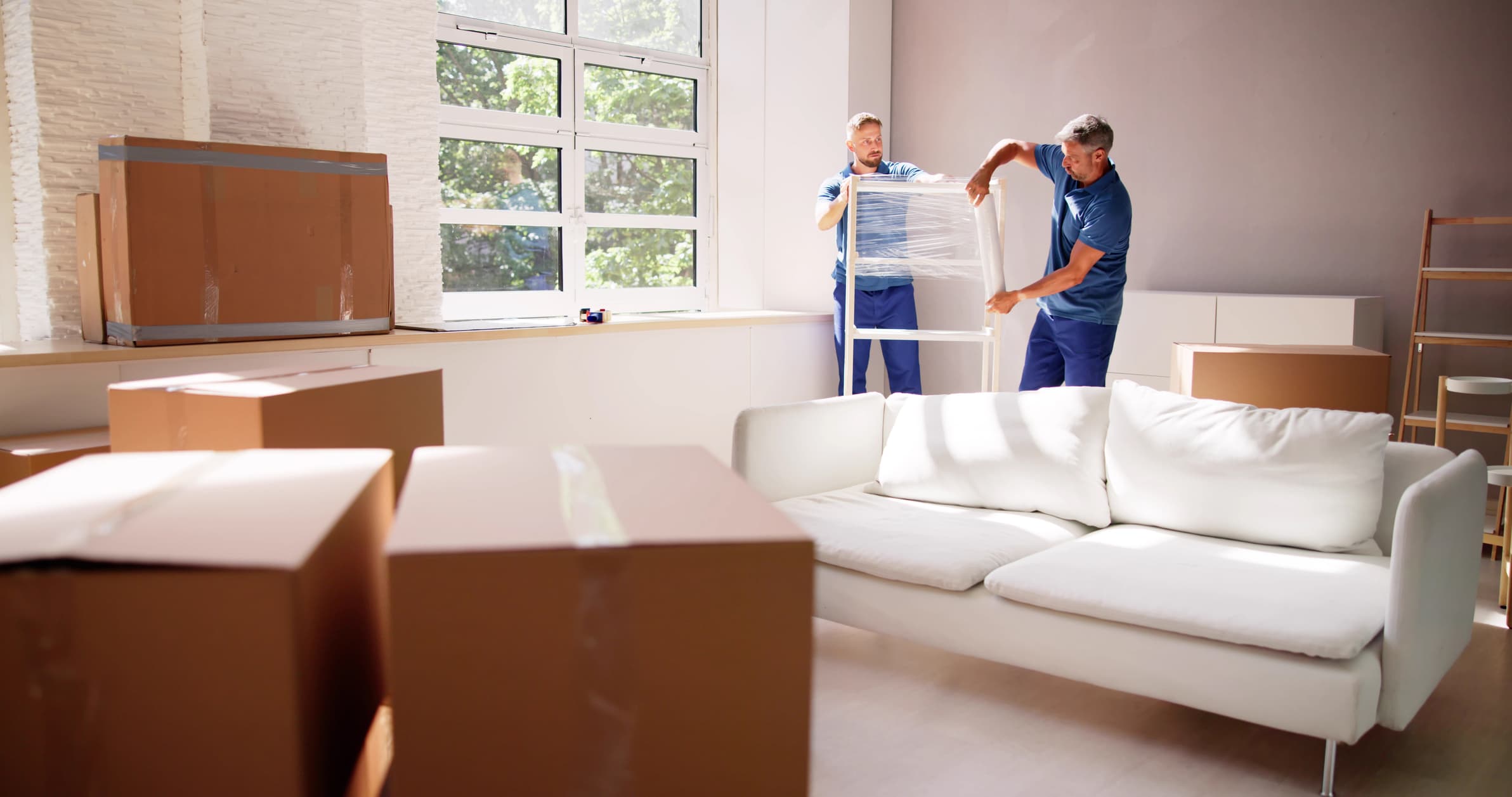 Professional Furniture Assembly and Junk Hauling for Your Move
